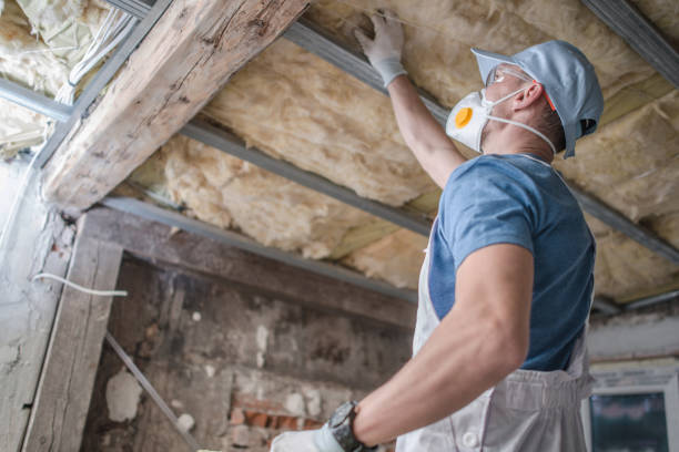 Best Cellulose Insulation in Trenton, MI