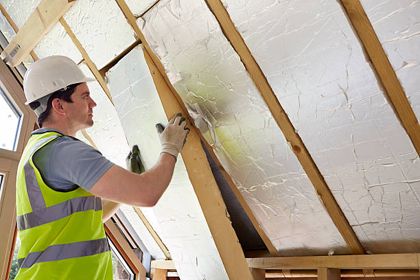 Best Specialized Insulation Services in Trenton, MI
