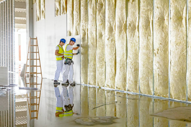 Best Spray Foam Insulation in Trenton, MI